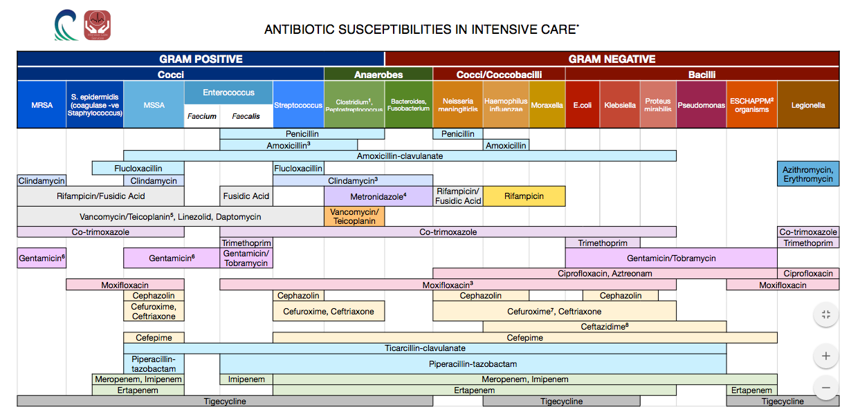 Antibiotics Chart ICU